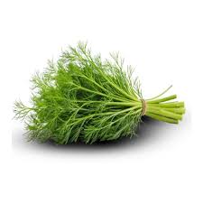 خرید اقتصادی شوید خشک + فروش تضمینی
